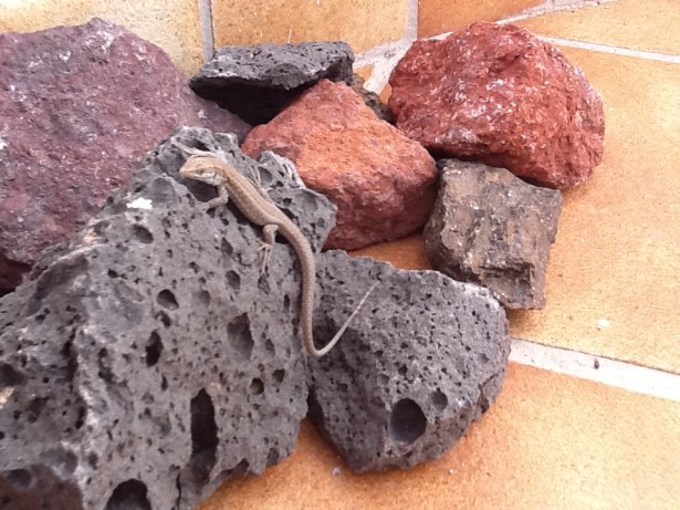 4378E257-643C-4B3E-B085-2425FDD3EBE4